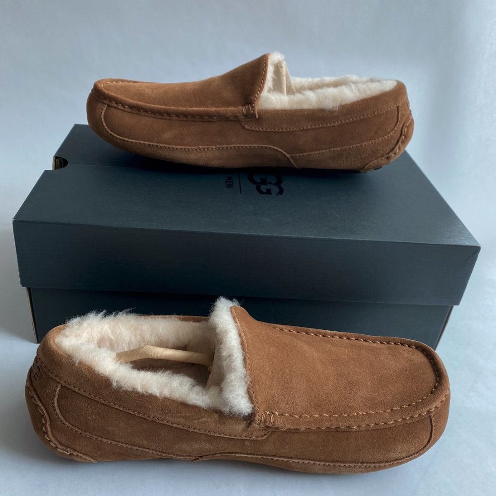 UGG M ASCOT M/CHE - Size 10 for Men Color -Chesnut